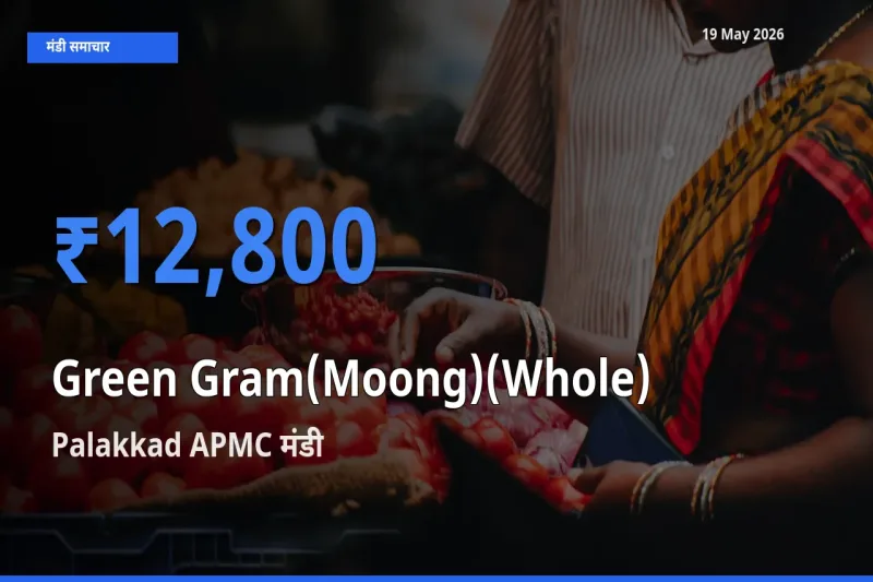 किसानों की पसंद बना Palakkad APMC, साबुत मूंग के सबसे अच्छे दाम