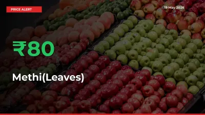 Why Methi(Leaves) Prices Rose 80.06% in a Day at Mandis