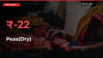 Peas(Dry) Mandi Rate Today: Prices Fall 21.73% at Market
