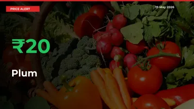 This Mandi Records 20.08% Jump in Plum Prices