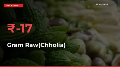This Mandi Records 17.26% Fall in Gram Raw(Chholia) Prices