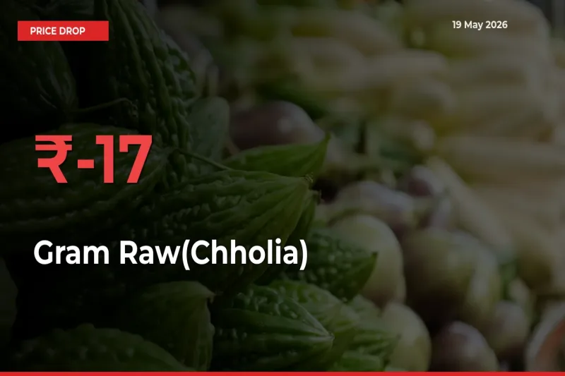 This Mandi Records 17.26% Fall in Gram Raw(Chholia) Prices