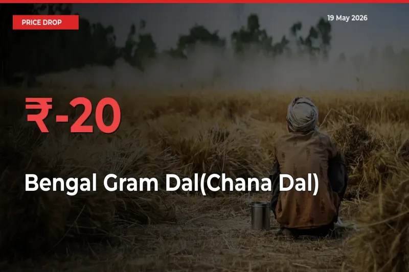 19.8% Drop in Bengal Gram Dal(Chana Dal) Prices – Mandi Sees Sudden Fall