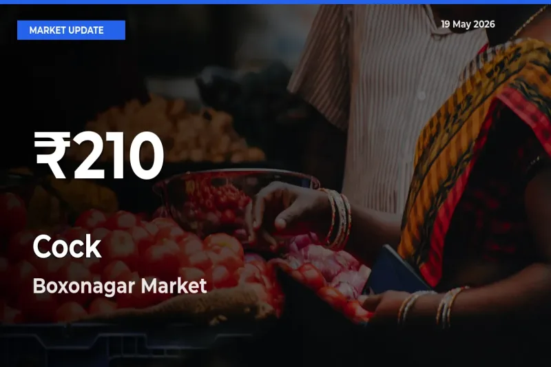 Cock Falls to ₹210 in Boxonagar – 30-Day Lowest Rate