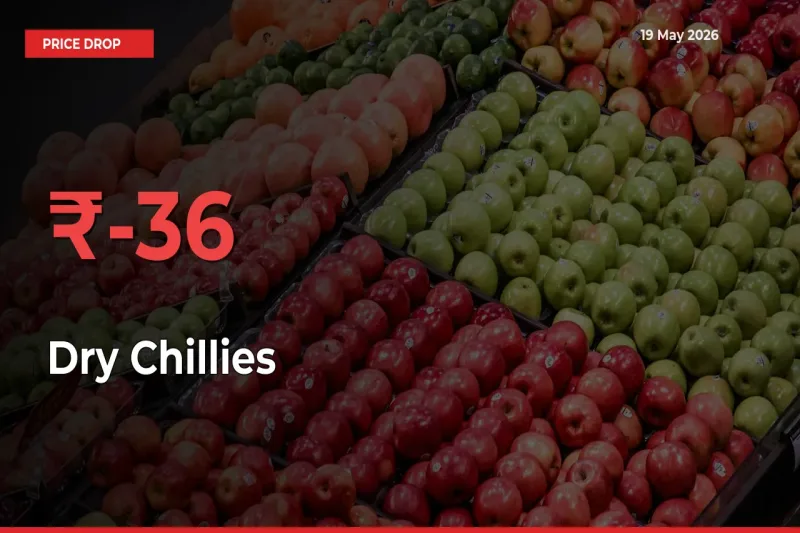 Dry Chillies Mandi Rate Today: Prices Fall 36.3% at Market