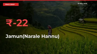 22.27% Drop in Jamun(Narale Hannu) Prices – Mandi Sees Sudden Fall