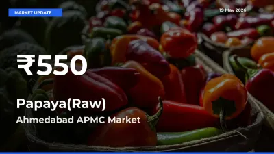 Papaya(Raw) Mandi Rate Today: 30-Day Low Recorded in Ahmedabad APMC