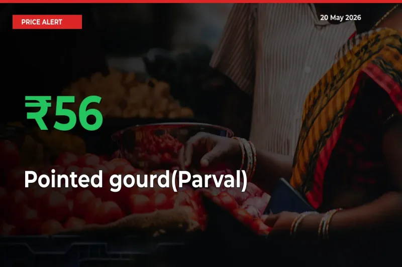 Big Rally! Pointed gourd(Parval) Climbs 56.41% in 24 Hours at Top Mandis