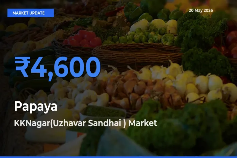KKNagar(Uzhavar Sandhai ) Tops Papaya Mandi Rates Today