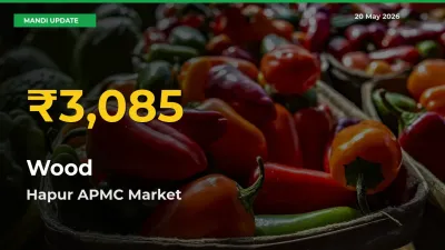 Fresh Record! Wood Price Climbs to New High in Hapur APMC