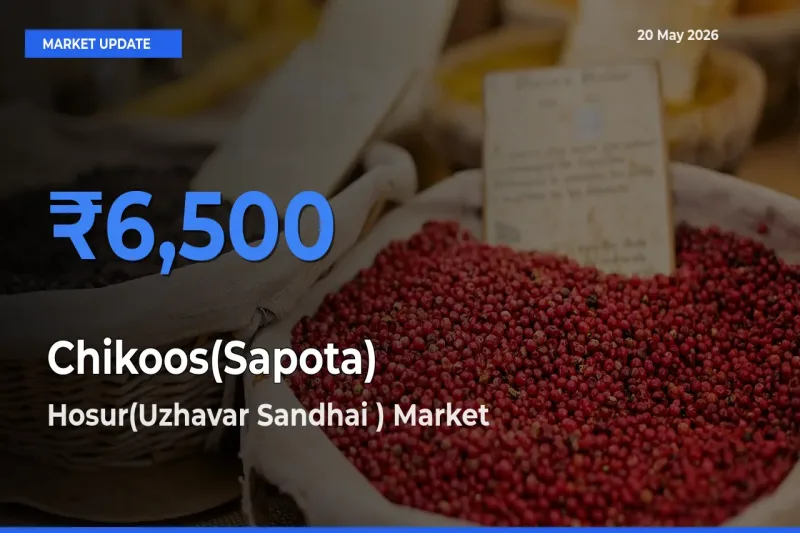 Hosur(Uzhavar Sandhai ) Tops Chikoos(Sapota) Mandi Rates Today
