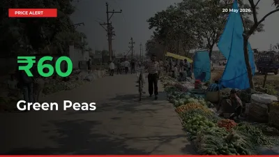 Sudden 60.18% Rally in Green Peas Prices Across Mandis