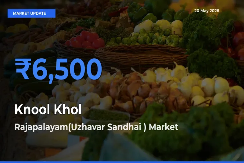 Rajapalayam(Uzhavar Sandhai ) Leads as Top Mandi for Knool Khol Prices