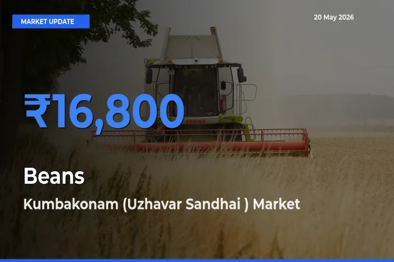Kumbakonam (Uzhavar Sandhai ) Leads as Top Mandi for Beans Prices