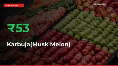 53.47% Spike in Karbuja(Musk Melon) Prices – Mandi Sees Sudden Rally