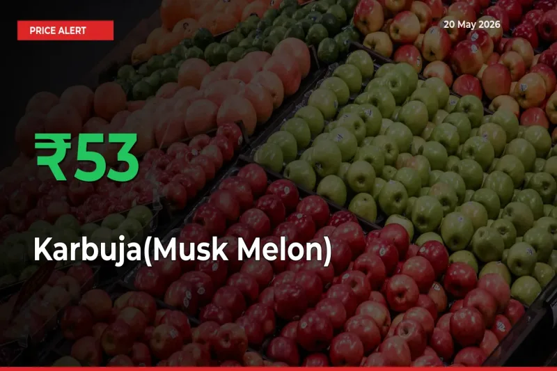 53.47% Spike in Karbuja(Musk Melon) Prices – Mandi Sees Sudden Rally