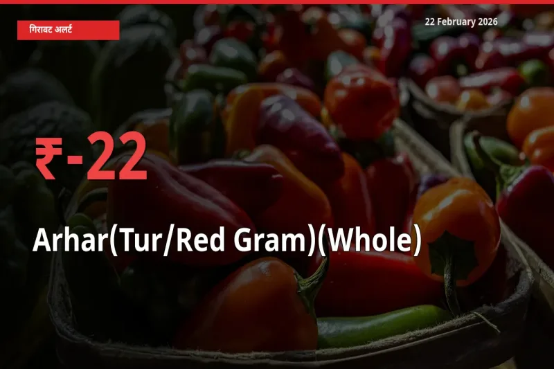 22.04% की गिरावट! मंडी में Arhar(Tur/Red Gram)(Whole) के दाम अचानक टूटे