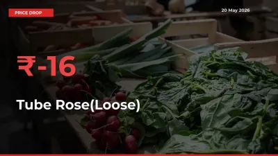Farmers Alert as Tube Rose(Loose) Prices Slide 16.09% in Local Mandis