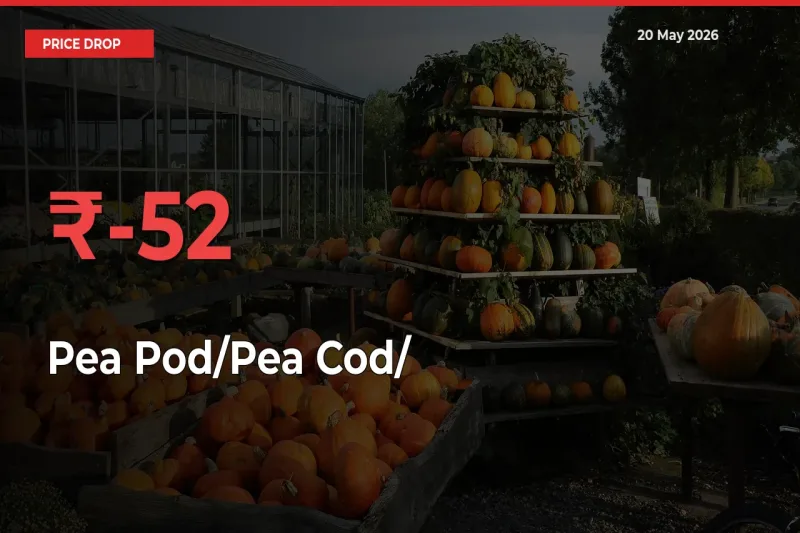 This Mandi Records 52.17% Fall in Pea Pod/Pea Cod/हरी मटर Prices