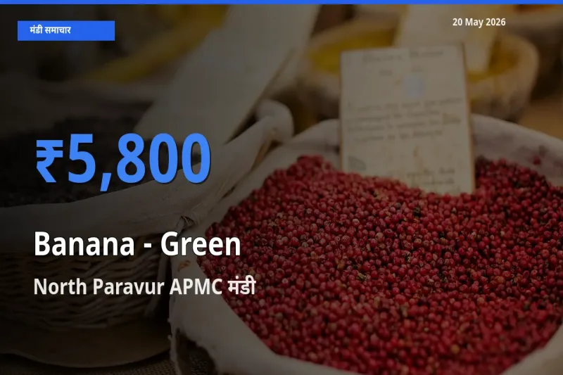 किसानों की पसंद बना North Paravur APMC, केला - हरा के सबसे अच्छे दाम