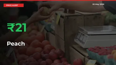 20.87% Spike in Peach Prices – Mandi Sees Sudden Rally