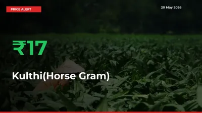 Farmers Cheer as Kulthi(Horse Gram) Prices Surge 16.62% in Local Mandis