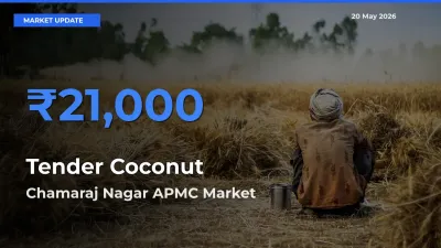 Chamaraj Nagar APMC Leads as Top Mandi for Tender Coconut Prices