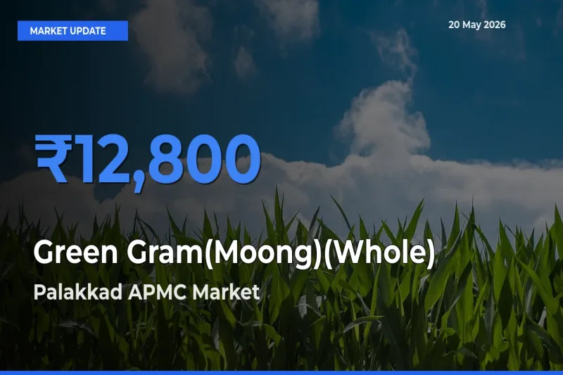 Palakkad APMC Tops Green Gram(Moong)(Whole) Mandi Rates Today