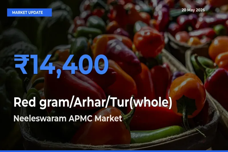 Neeleswaram APMC Tops Red gram/Arhar/Tur(whole) Mandi Rates Today