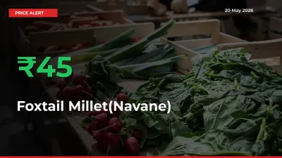 Why Foxtail Millet(Navane) Prices Rose 45.44% in a Day at Mandis