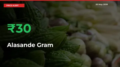 Alasande Gram Rises 30.28% at Mandis