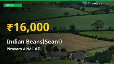 आज Piravam APMC में सेम (देशी) के दाम रिकॉर्ड स्तर पर, ताज़ा मंडी भाव जानें