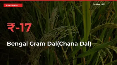 Bengal Gram Dal(Chana Dal) Prices Drop 17.47% – May 20 Market Update from Mandis