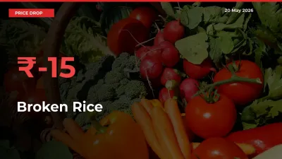 Broken Rice Prices Drop 15.46% in 24 Hours at Major Mandis