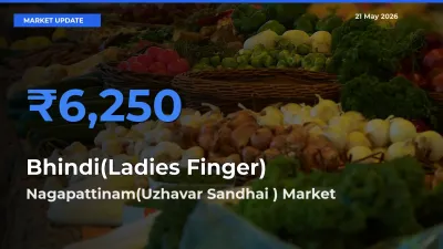 Nagapattinam(Uzhavar Sandhai ) Leads as Top Mandi for Bhindi(Ladies Finger) Prices