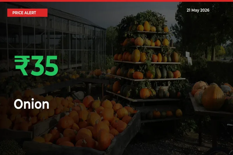 This Mandi Records 34.93% Jump in Onion Prices