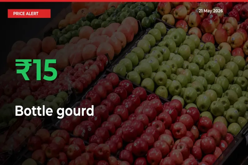 Bottle gourd Rises 15.17% at Mandis