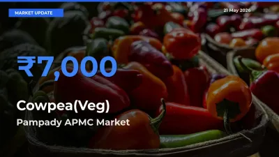 Pampady APMC Tops Cowpea(Veg) Rates – May 21 Market Update