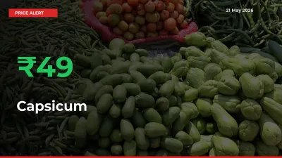 Capsicum Rises 49.36% at Mandis