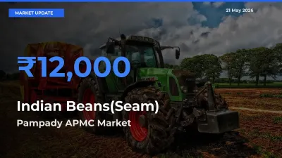 Pampady APMC Tops Indian Beans(Seam) Mandi Rates Today