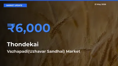 Vazhapadi(Uzhavar Sandhai) Tops Thondekai Rates – May 21 Market Update