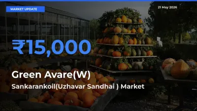 Sankarankoil(Uzhavar Sandhai ) Offers ₹15,000 – Highest Green Avare(W) Rate Today