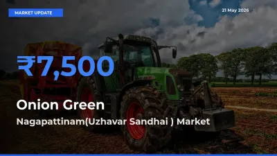 Market Watch: Nagapattinam(Uzhavar Sandhai ) Becomes Top Mandi for Onion Green