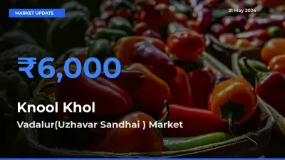 Top Performer! Vadalur(Uzhavar Sandhai ) Offers Best Knool Khol Price Today