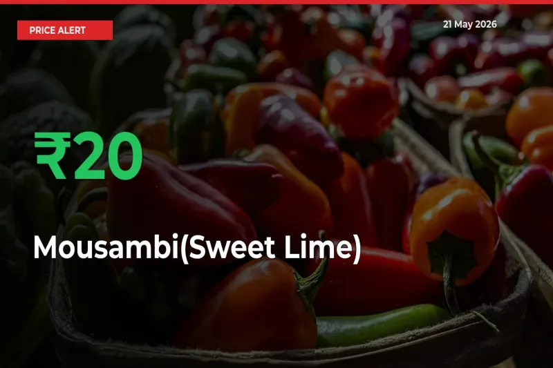 Big Rally! Mousambi(Sweet Lime) Climbs 20.42% in 24 Hours at Top Mandis