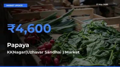 Top Performer! KKNagar(Uzhavar Sandhai ) Offers Best Papaya Price Today