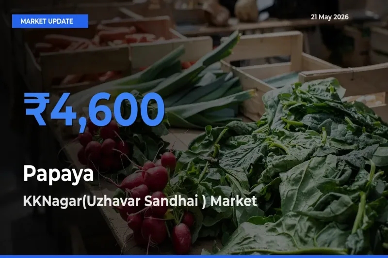 Top Performer! KKNagar(Uzhavar Sandhai ) Offers Best Papaya Price Today