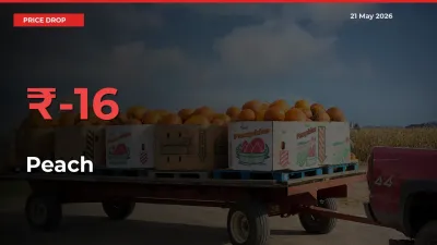 Sharp Fall! Peach Prices Plunge 16.16% in a Day at Key Mandis