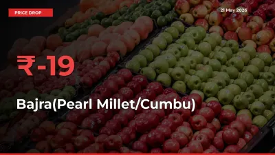 Bajra(Pearl Millet/Cumbu) Prices Drop 19.33% – May 21 Market Update from Mandis