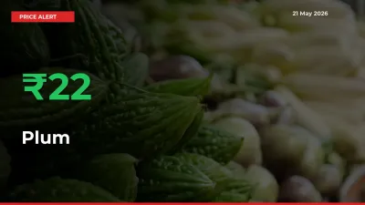 Big Rally! Plum Climbs 21.77% in 24 Hours at Top Mandis